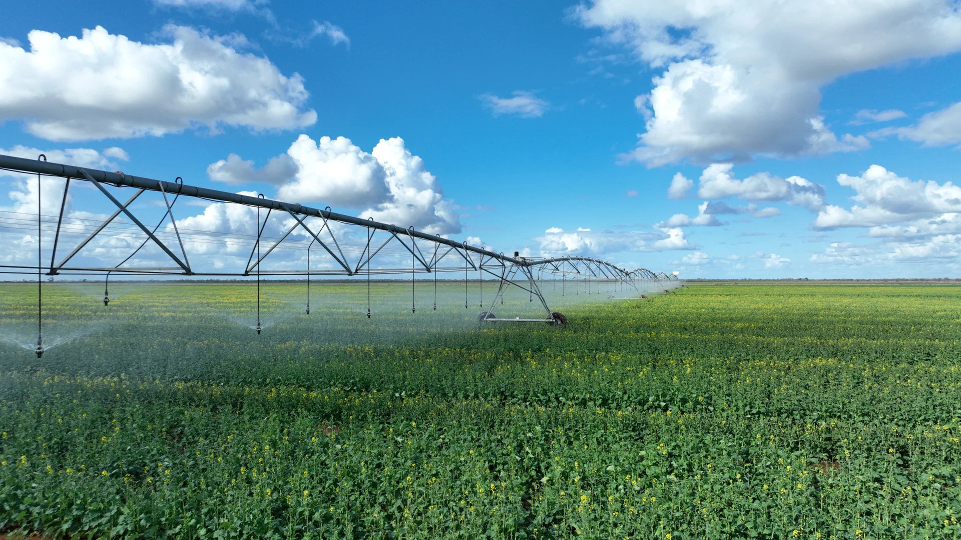 Additional image 24 of "Waringah" Mabins Well Road, Conargo NSW 2710