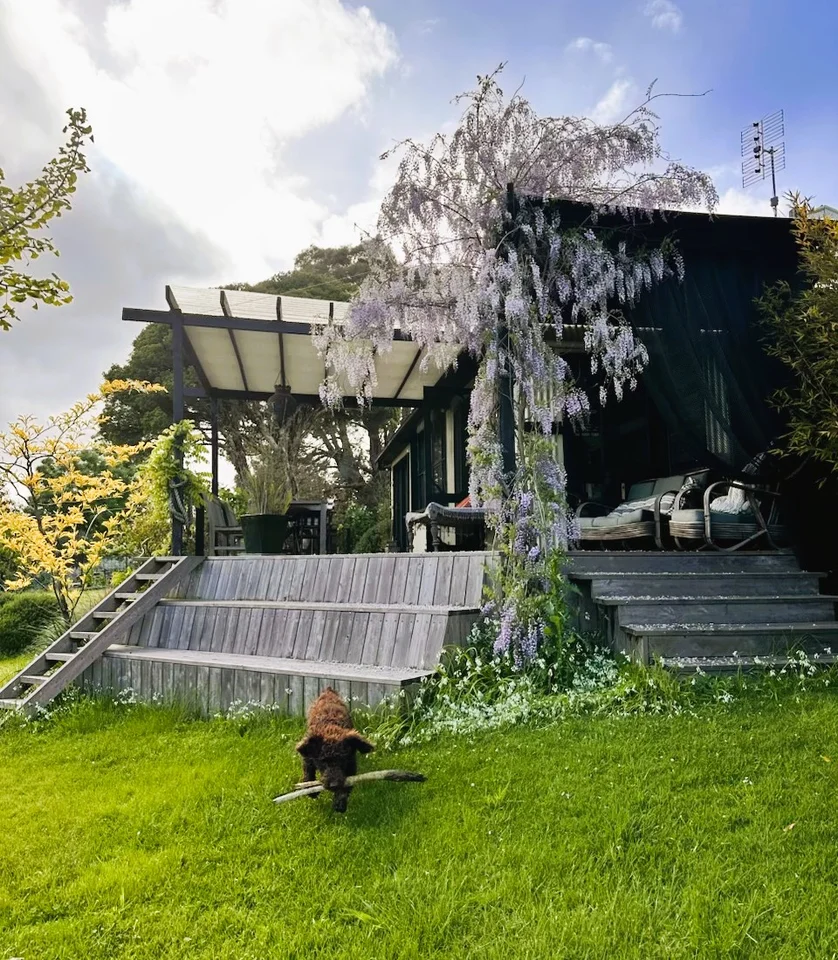 Additional image 18 of 1409 Birregurra Deans Marsh Road, Deans Marsh VIC 3235