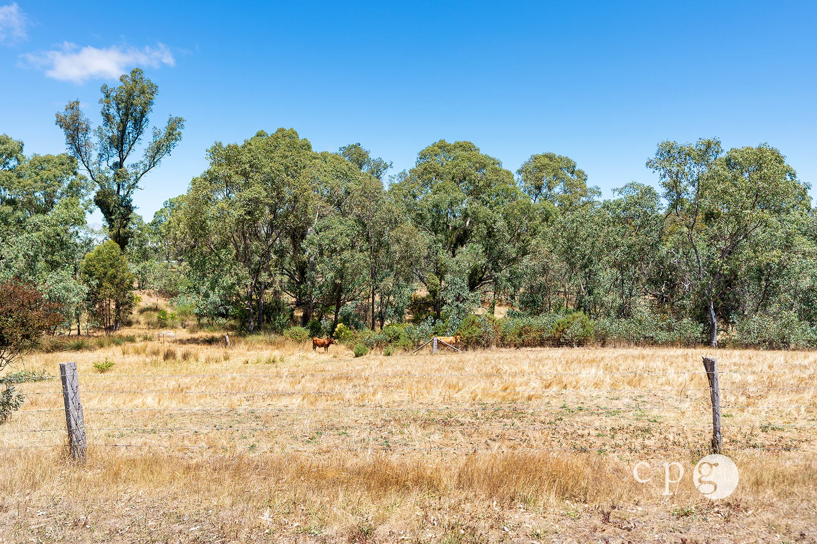 Additional image 19 of 256 Blackjack Road, Harcourt VIC 3453