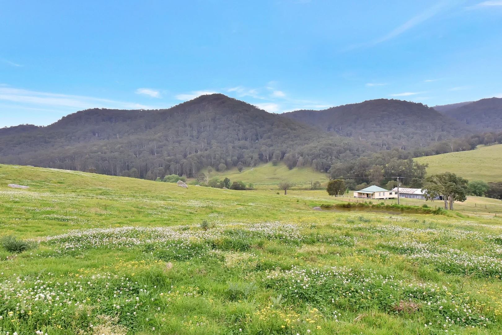 Additional image 11 of 1473 Watagan Creek Road, Laguna NSW 2325