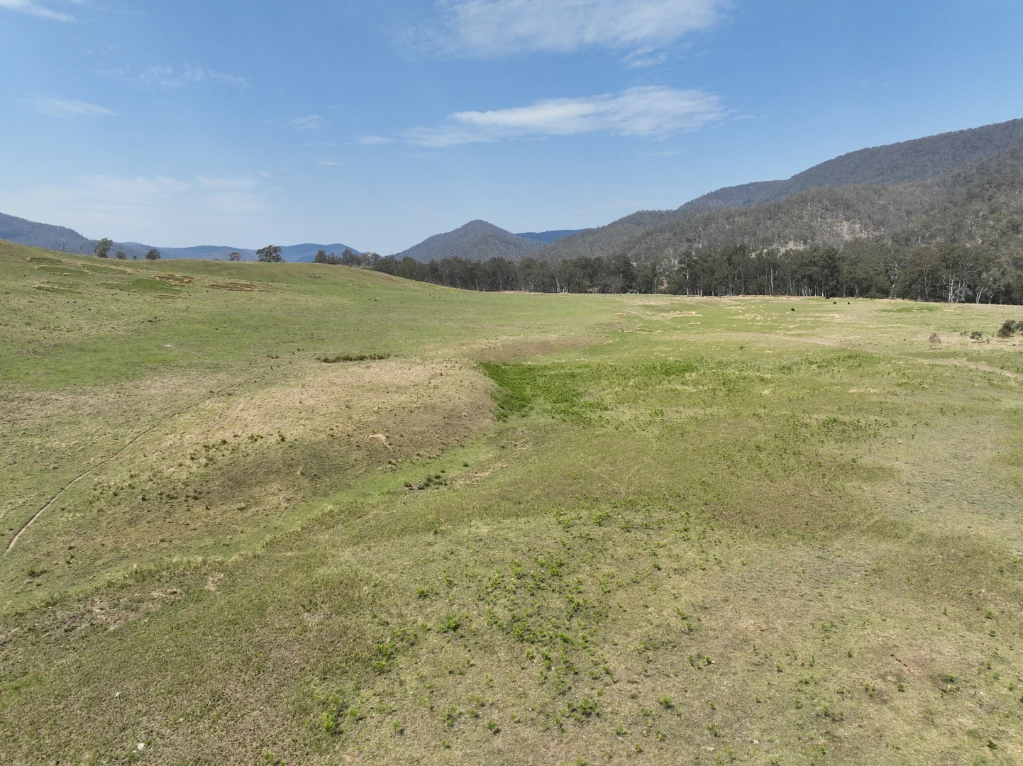 Additional image 6 of 100 Moogem Road, Moogem NSW 2370