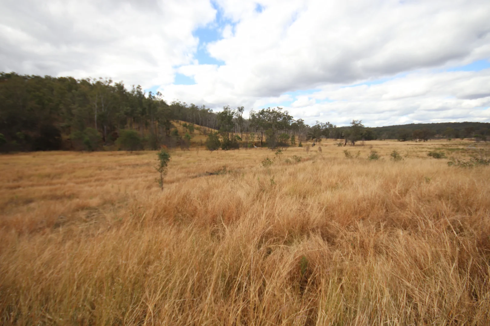 Additional image 14 of Lot 114 Kerwee Road, Eidsvold QLD 4627