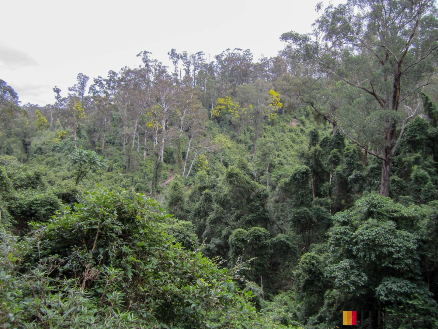 Additional image 11 of Lot 3 Pig Road, Currowan NSW 2536