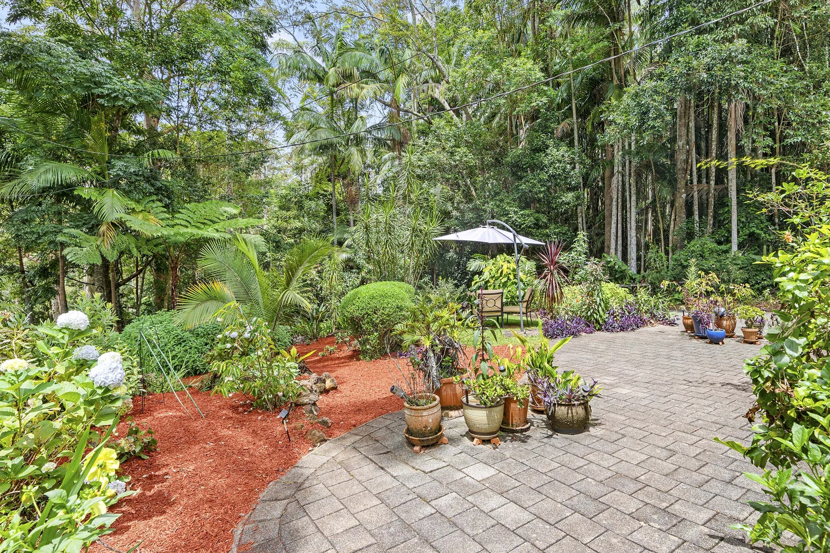 Additional image 16 of 6 Park Lane, Tamborine Mountain QLD 4272