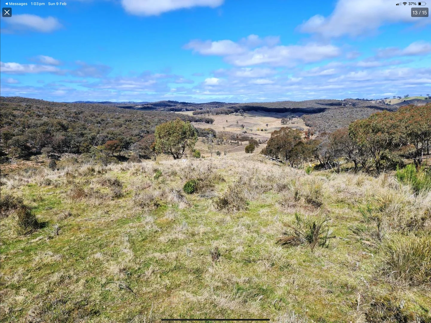 Additional image 18 of "Cummings Gap" Ullamalla road, Mudgee NSW 2850