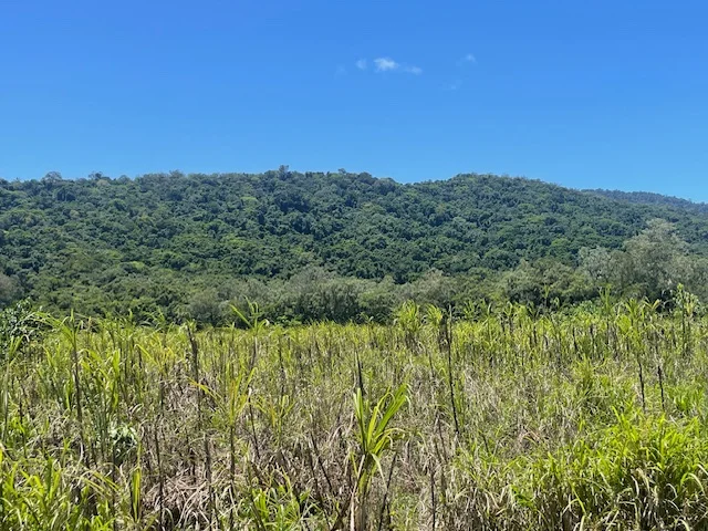 Additional image 3 of 12 Pine Creek - Yarrabah Road, East Trinity QLD 4871