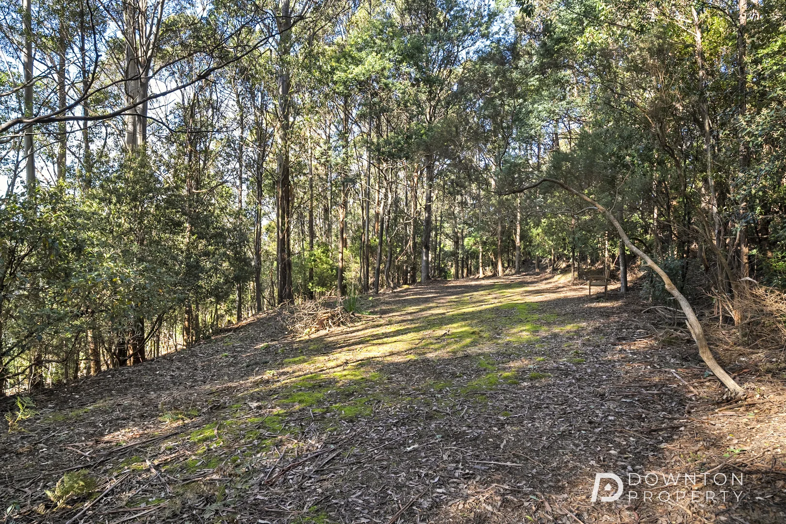 Additional image 8 of 37 Grays Road, Fern Tree TAS 7054