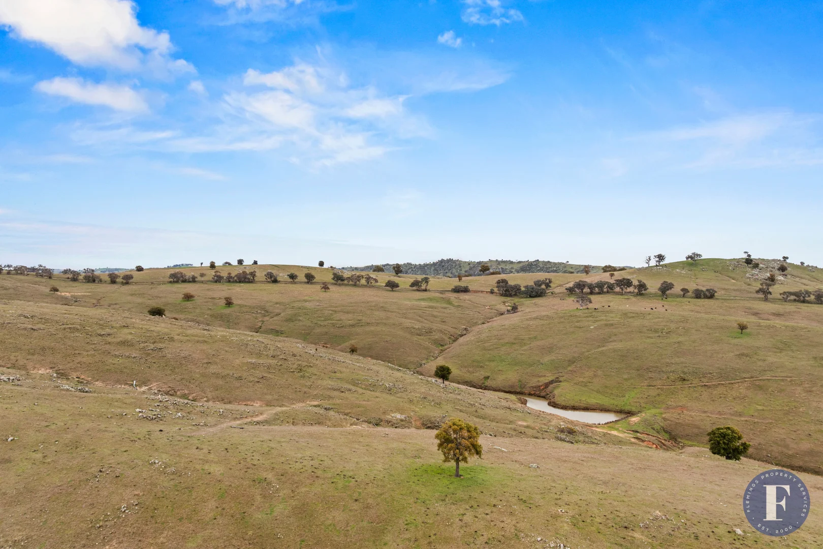 Additional image 7 of 458 Ironbark Lane, Frogmore NSW 2586