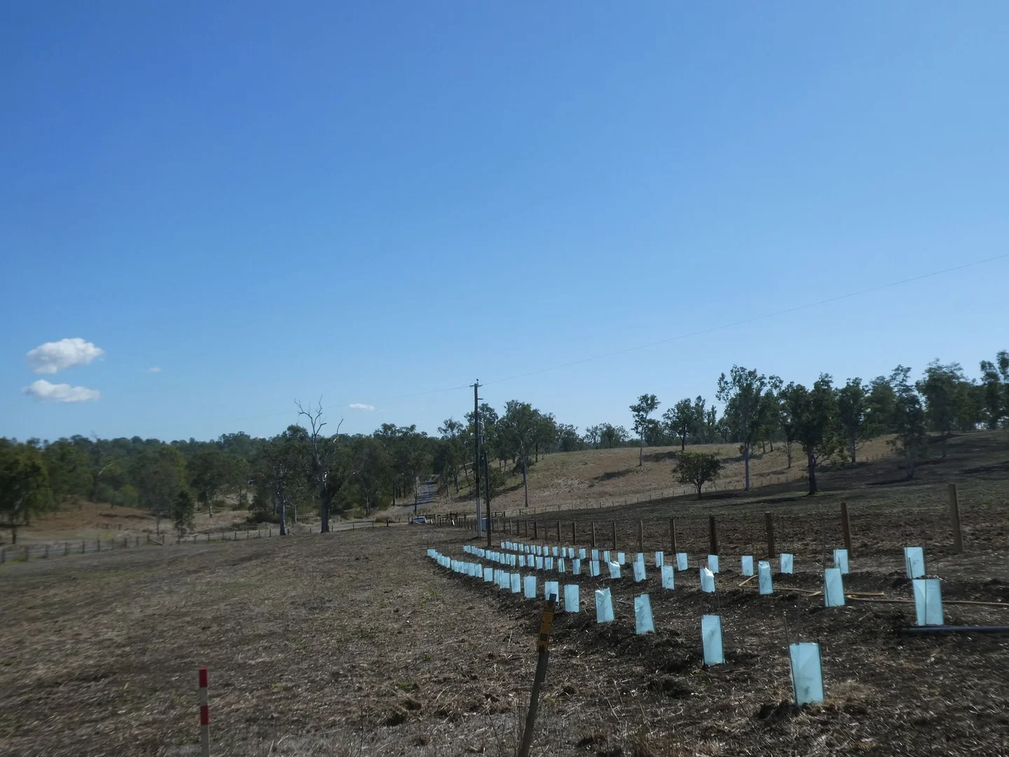 Additional image 10 of Lot 23 Walla Road, Morganville QLD 4671