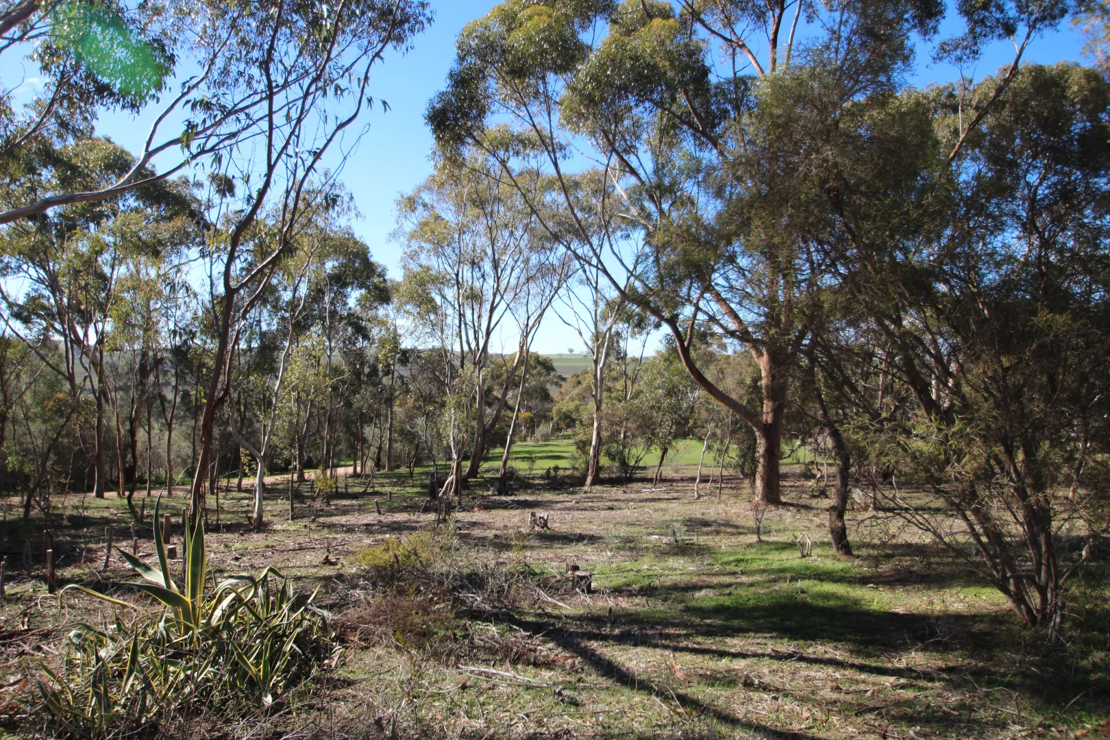 Additional image 2 of 9 West Terrace, Leasingham SA 5452