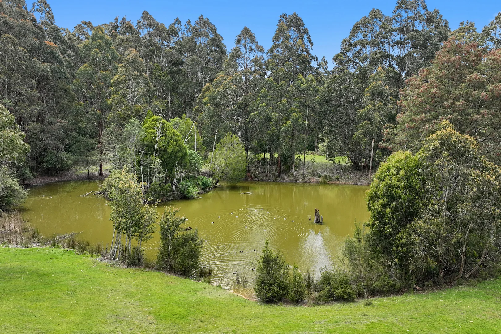 Additional image 12 of 11/2260 Mt Baw Baw Tourist Road, Icy Creek VIC 3833