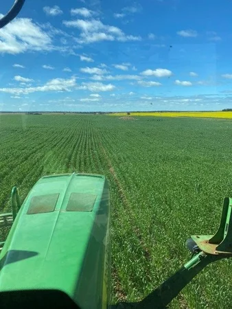 Additional image 20 of 1105 Coorow-Greenhead Road, Coorow WA 6515