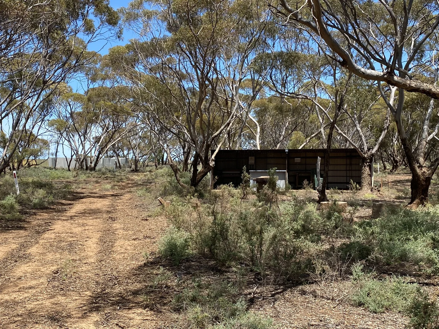 Additional image 21 of 57 Buggy Rd, Baroota SA 5495