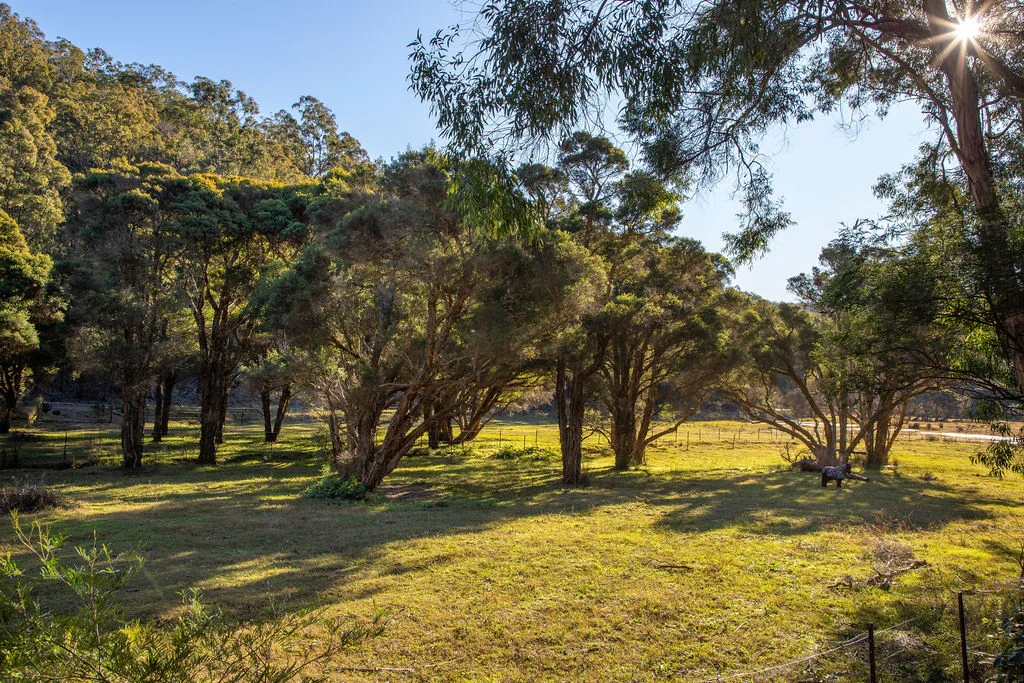 Additional image 2 of Lower Portland NSW 2756