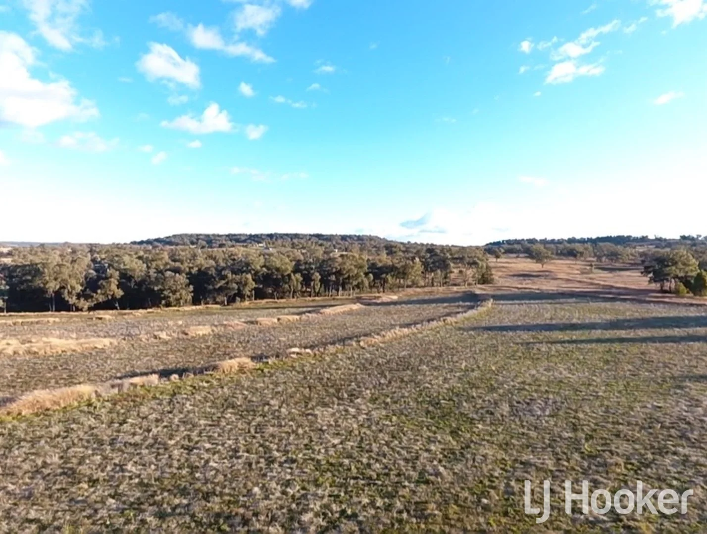 Additional image 4 of 133 Dog Trap Lane, Inverell NSW 2360