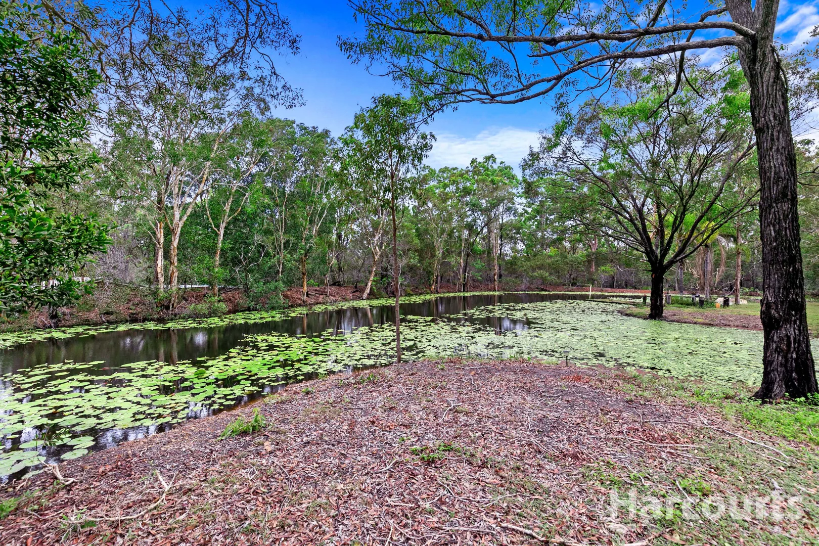 Additional image 21 of 54 Pindari Crescent, Sunshine Acres QLD 4655