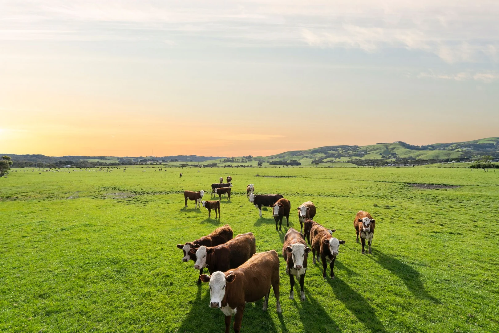 Additional image 7 of 80 Great Ocean Road, Apollo Bay VIC 3233