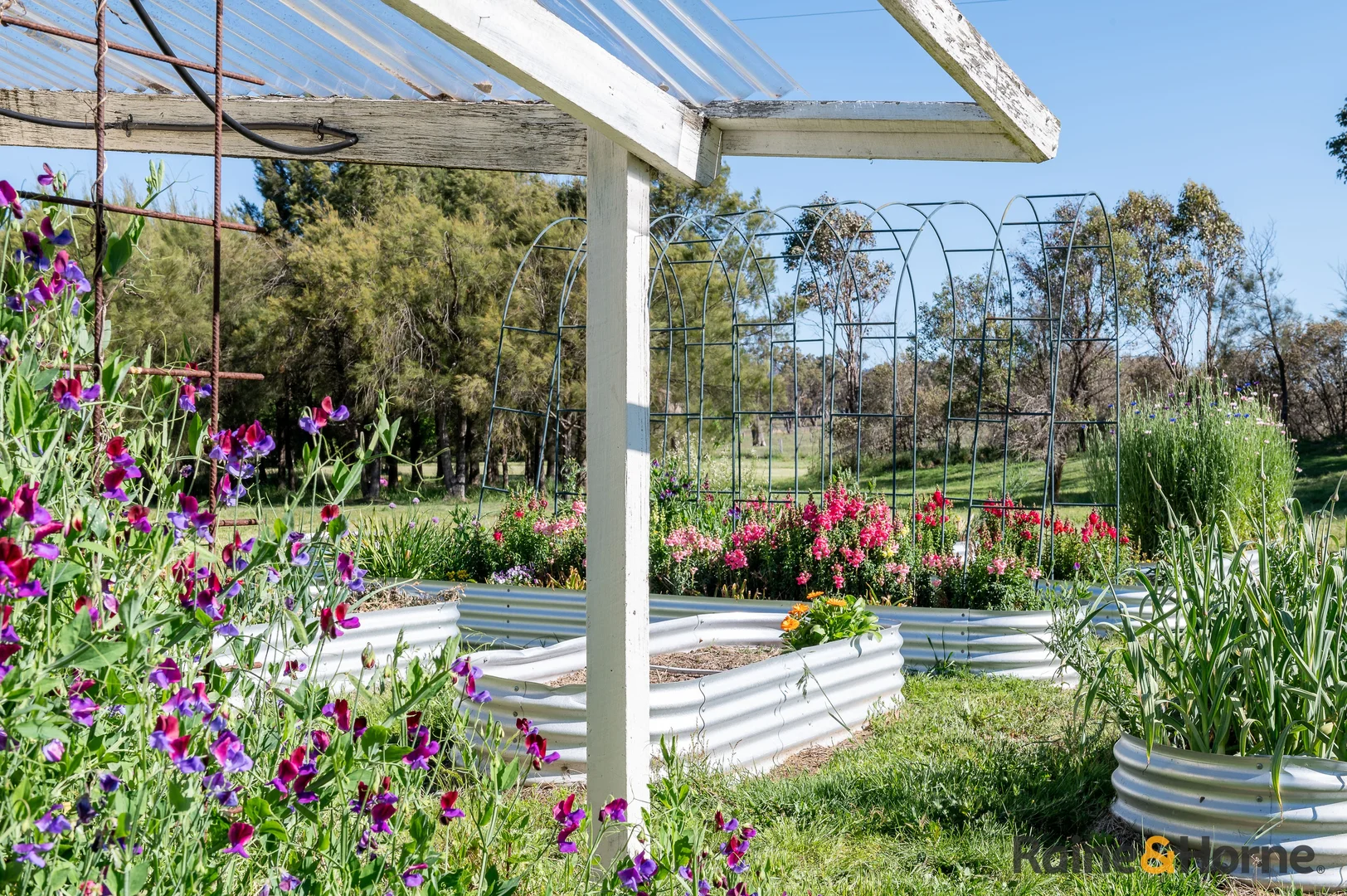 Additional image 17 of Lot 122 Nine Mile Road, Glen Innes NSW 2370