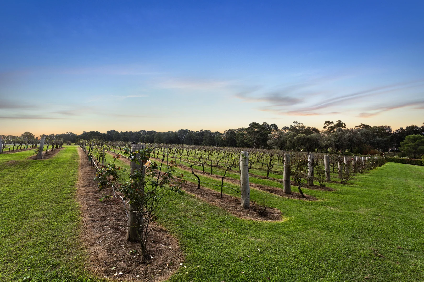 Additional image 11 of 151 Palmers Lane, Pokolbin NSW 2320