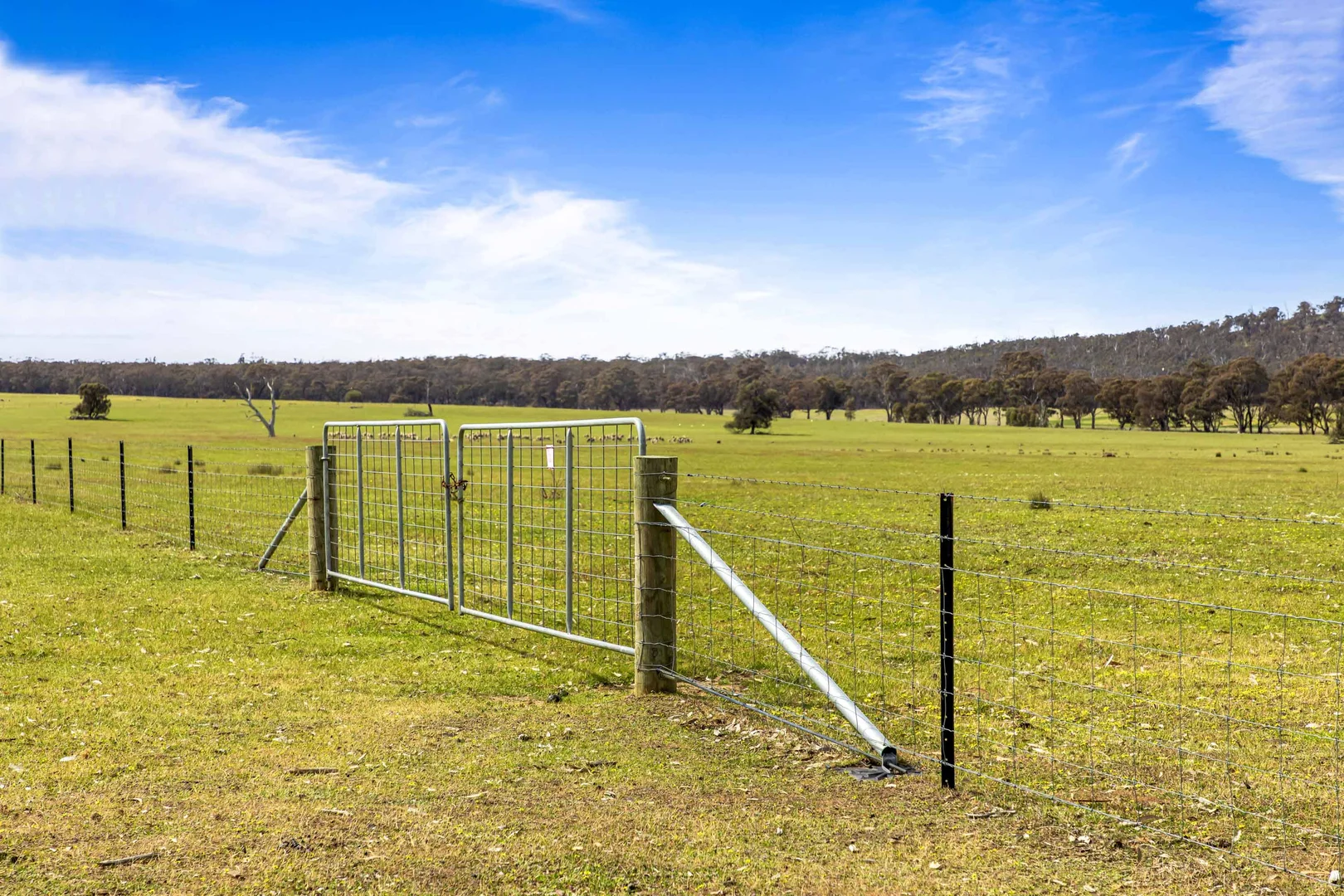 Additional image 9 of 140 Pearce Road, Campbells Bridge VIC 3387