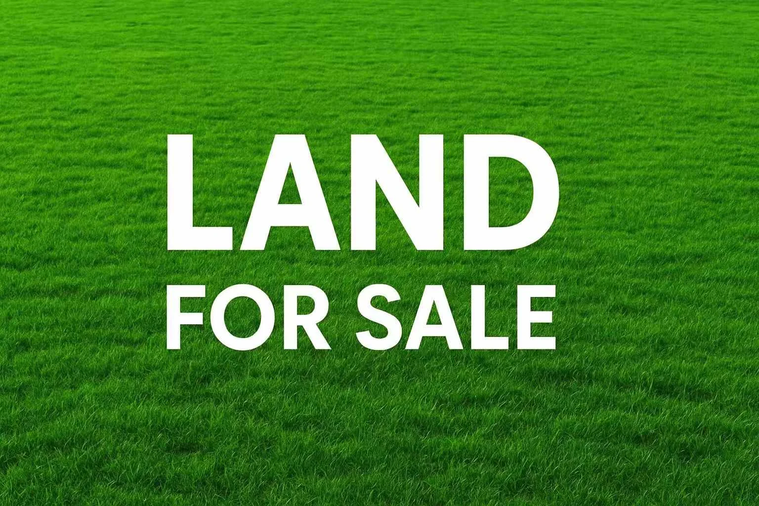 Additional image 3 of Leppington NSW 2179