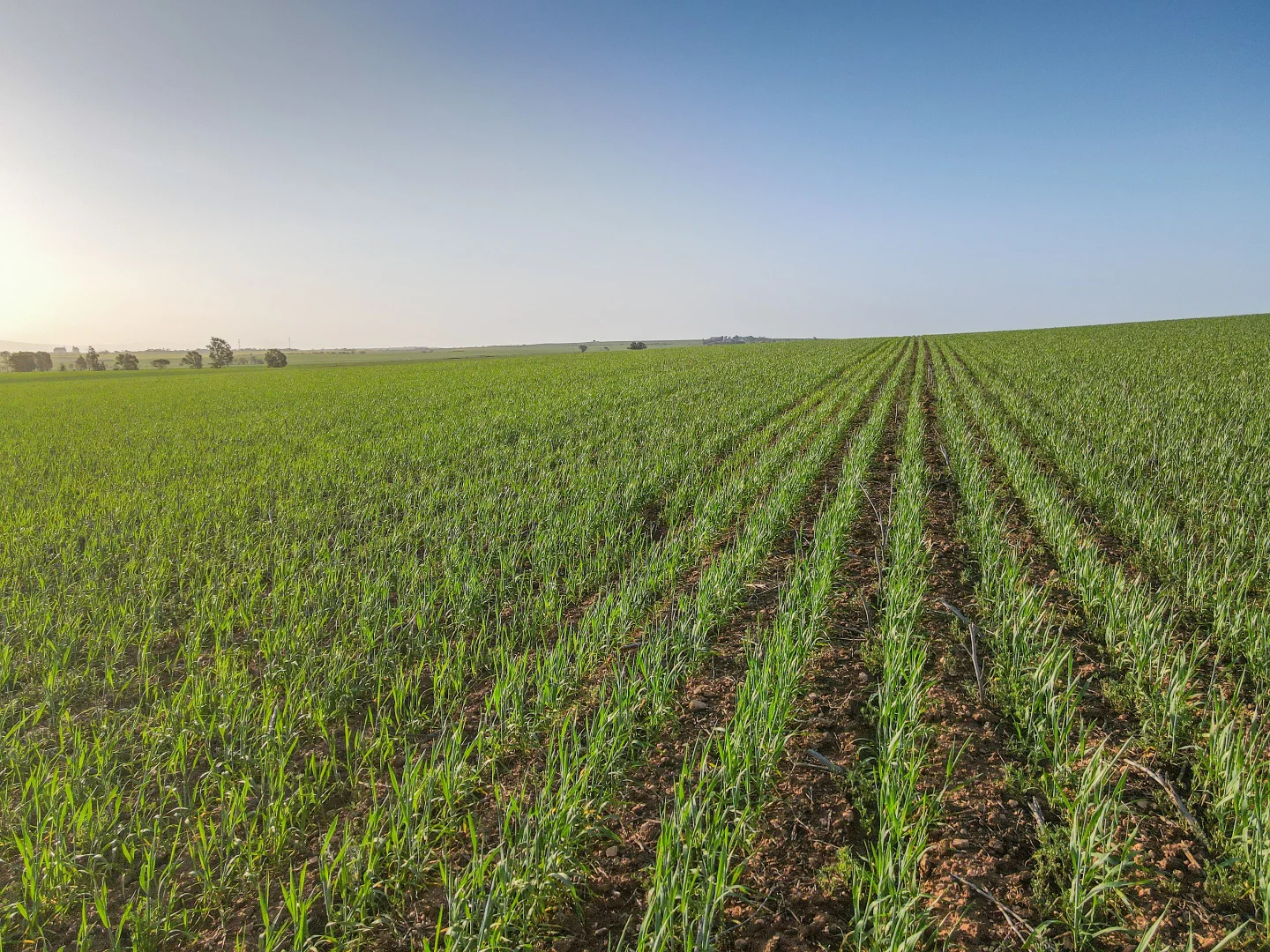 Additional image 18 of 222 Nicholls Rd, Booleroo Centre SA 5482