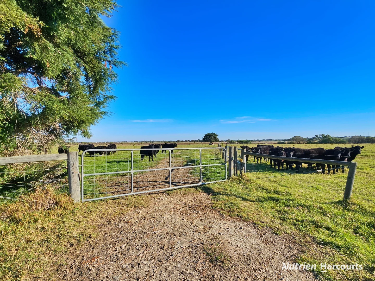 Additional image 40 of 194 Tip Road, Seaspray VIC 3851