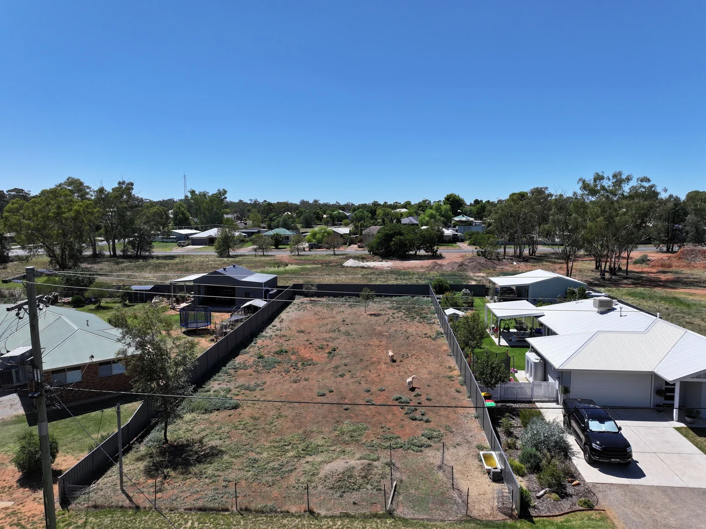 Additional image 5 of 47 Mimosa Street, Coolamon NSW 2701