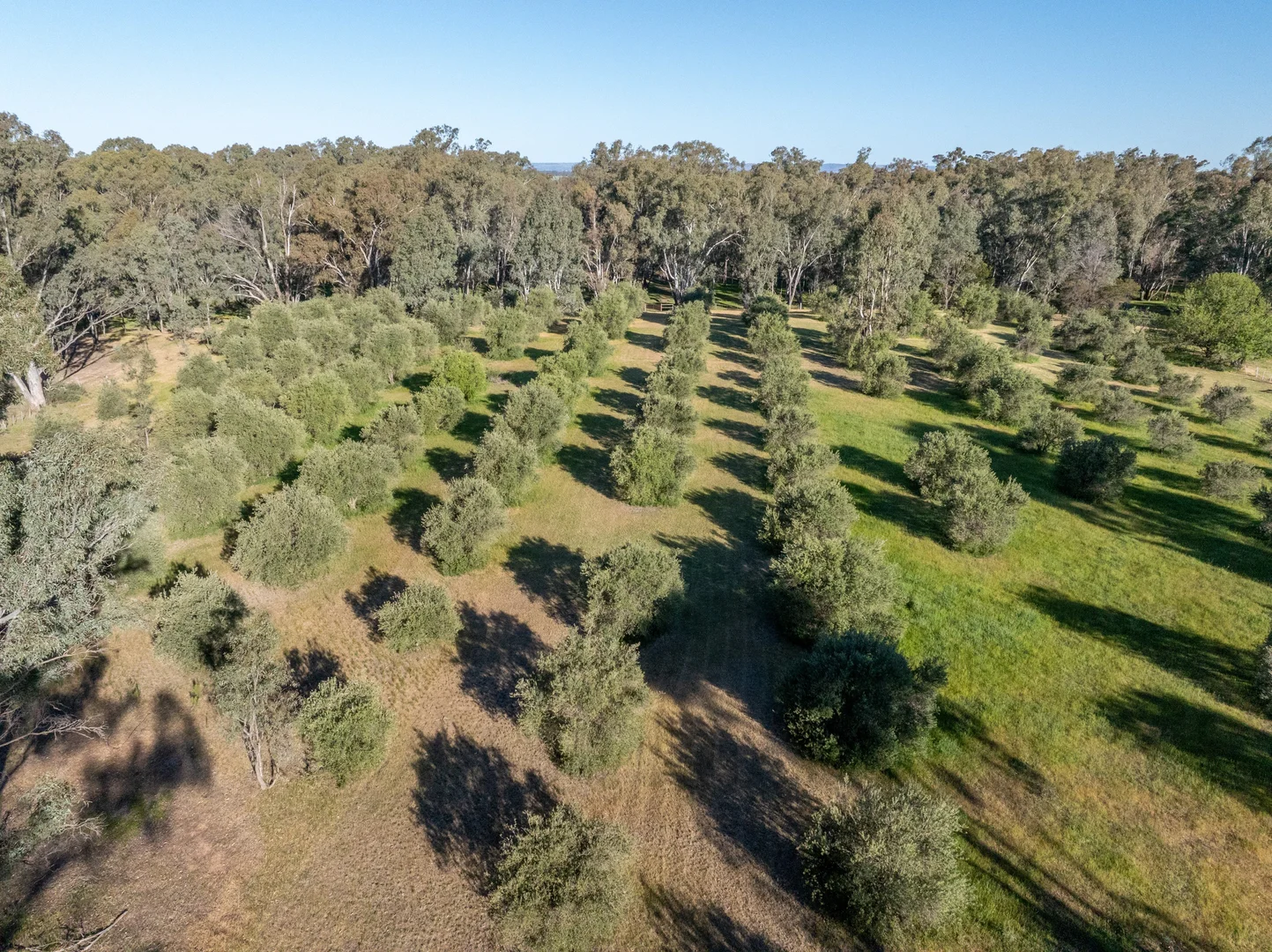 Additional image 10 of LOT 2/121 WATTLEVALE ROAD, Bailieston VIC 3608
