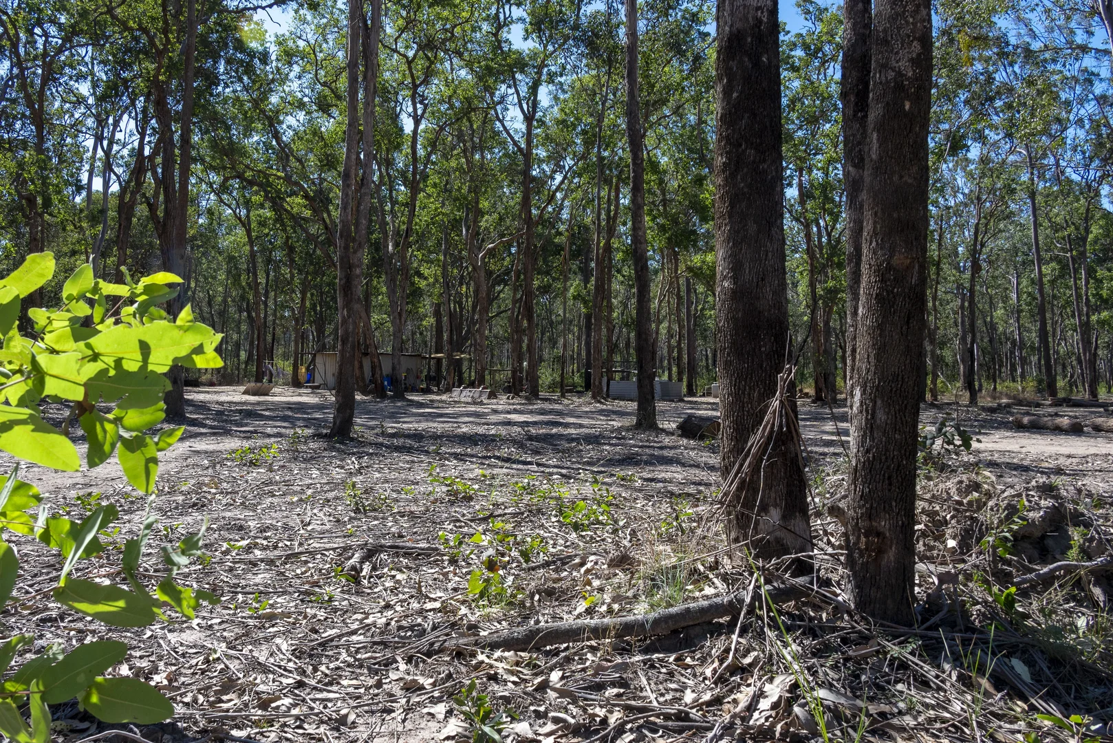 Additional image 24 of 151 Cameron Road, Taromeo QLD 4314