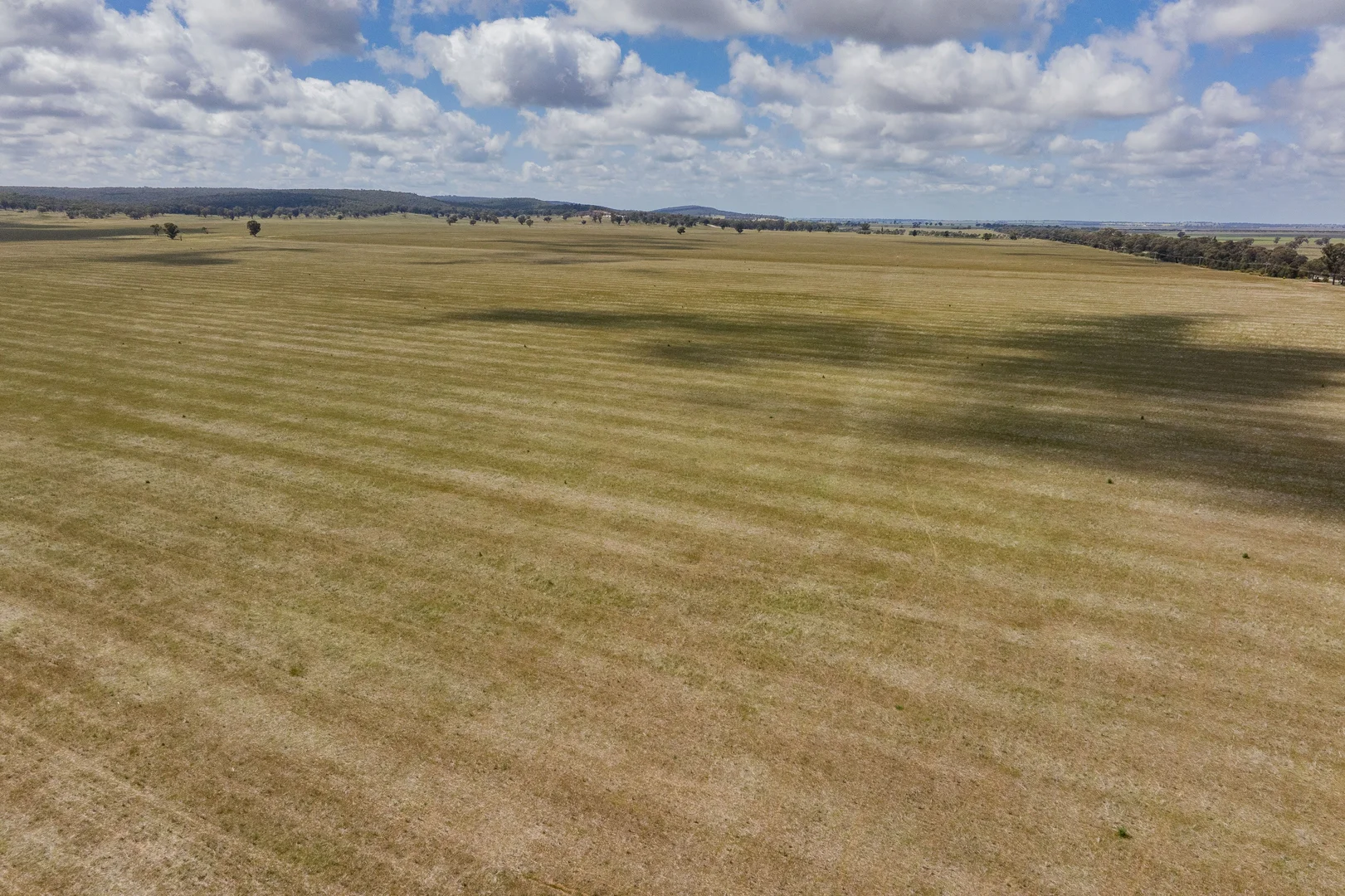 Additional image 12 of 869 Newell Highway, Narrandera NSW 2700