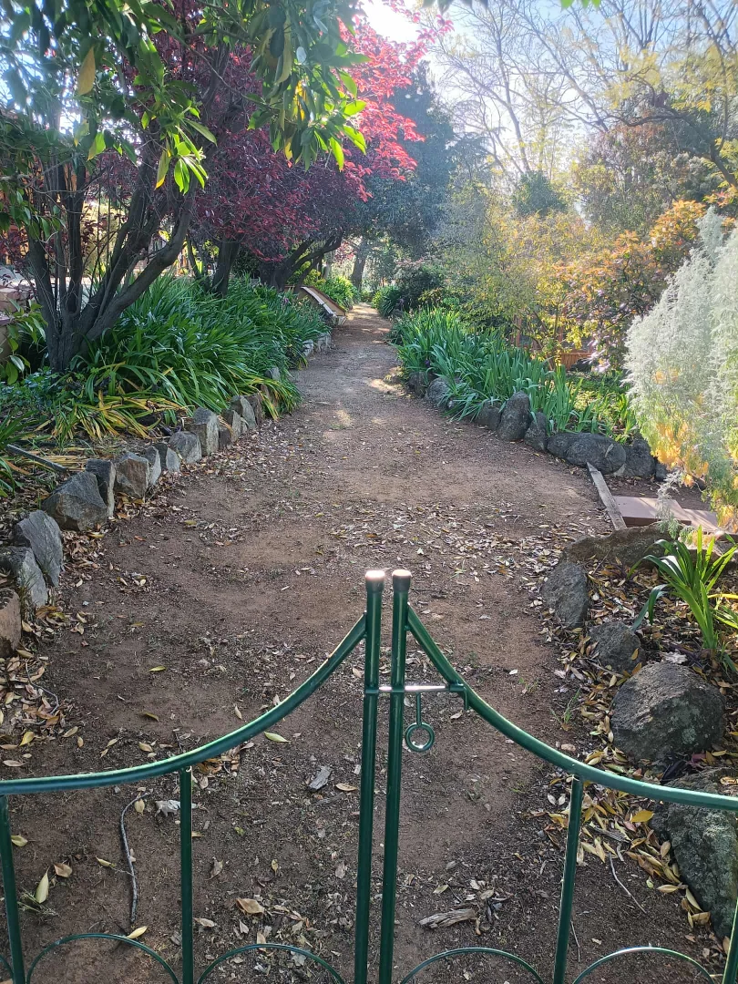 Additional image 31 of 58 Kemp Street, Junee NSW 2663