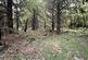 Additional image 5 of Maudland, Rhos, Carmarthenshire SA33