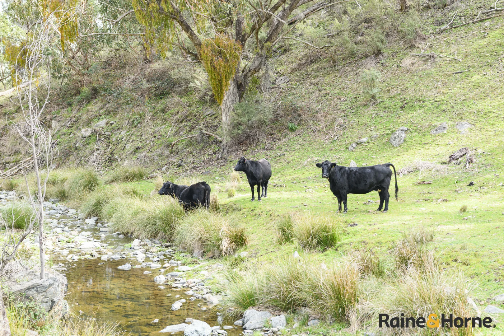 Additional image 5 of Lot 2/2553 Campfire Road, Walcha NSW 2354