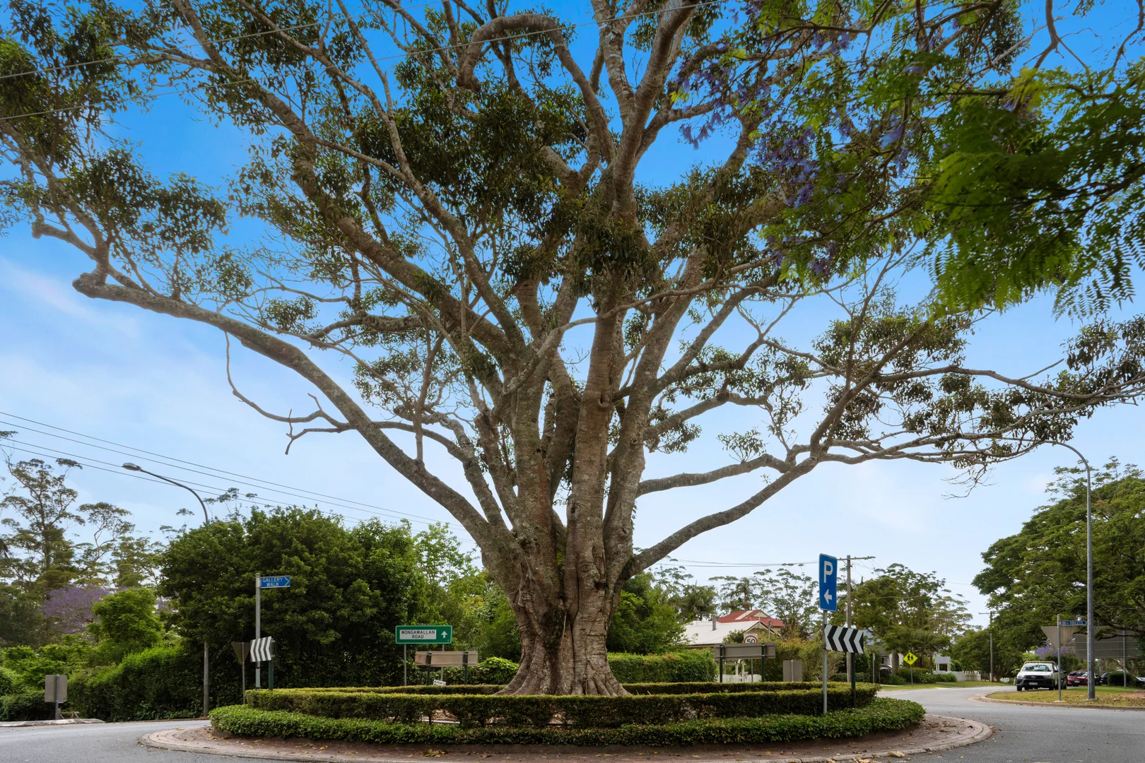 Additional image 33 of 10/163 Curtis Road, Tamborine Mountain QLD 4272