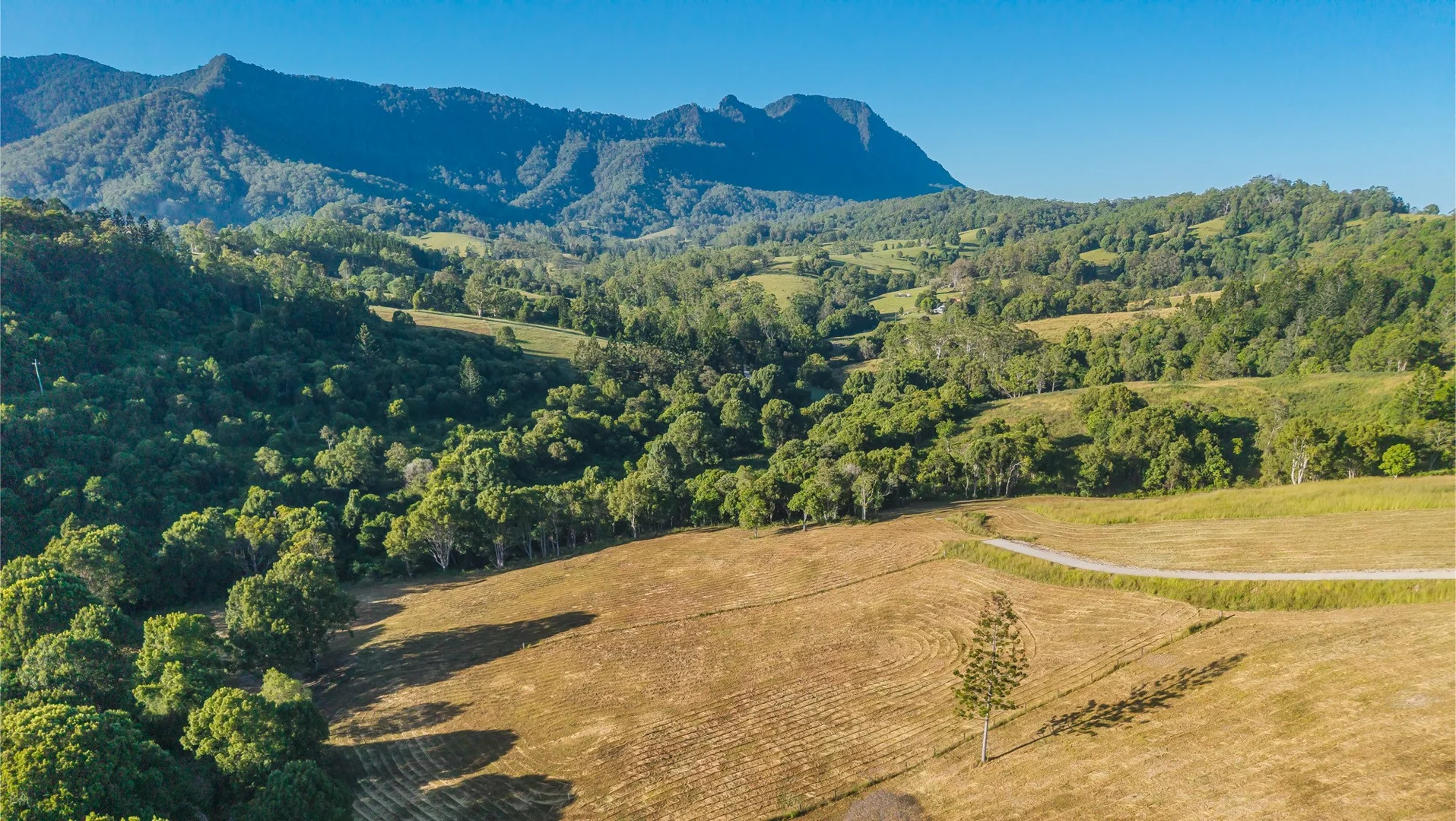 Additional image 23 of 2981 Kyogle Road, Kunghur NSW 2484