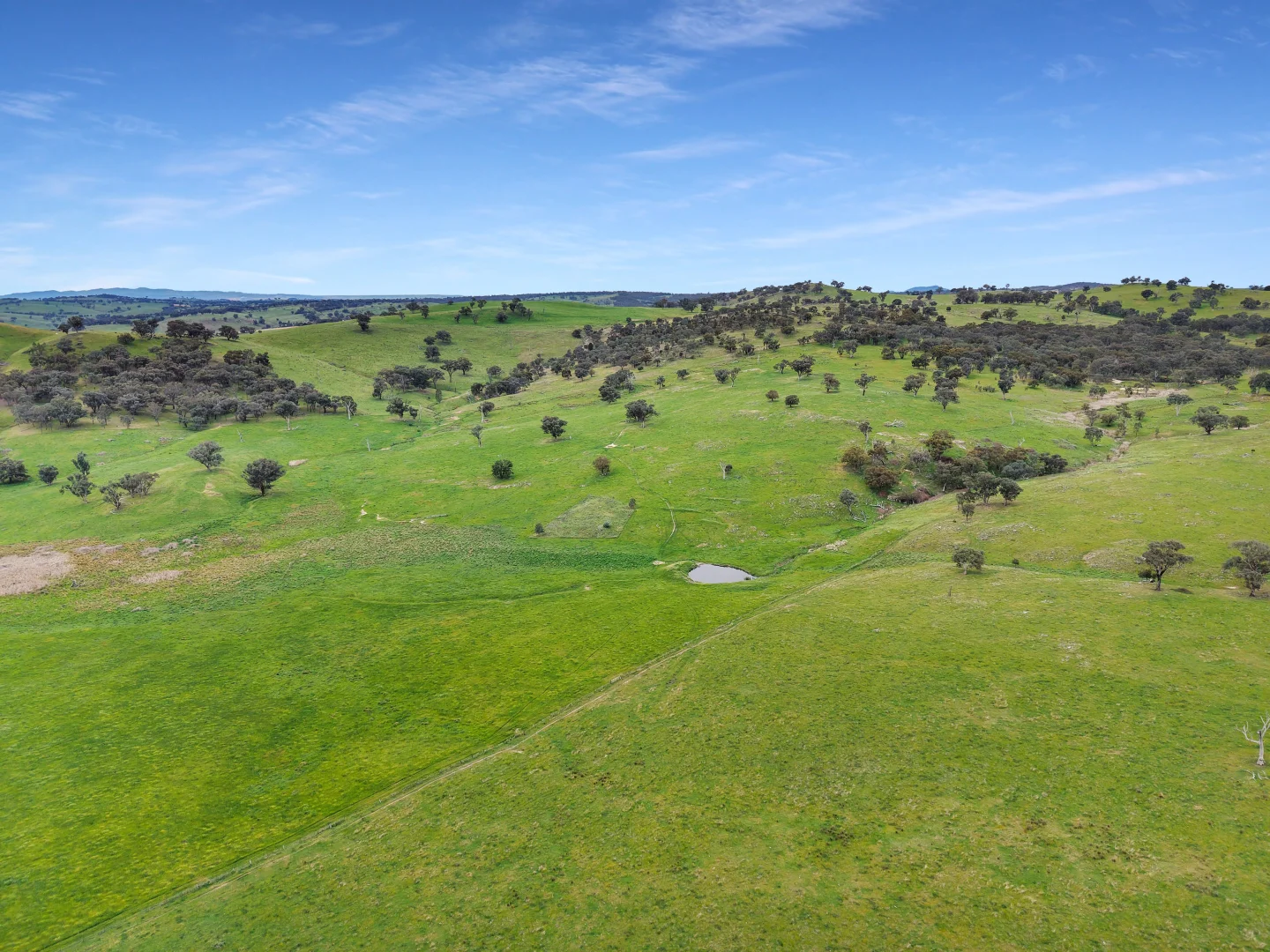 Additional image 37 of 'horse Gully' Old Waugoola Road, Woodstock NSW 2793