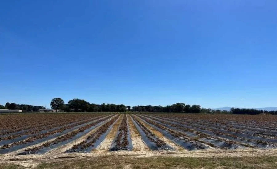 Additional image 13 of 9 Killara Road, Coldstream VIC 3770