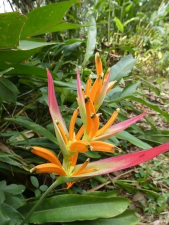 Additional image 20 of Lambells Lagoon NT 0822