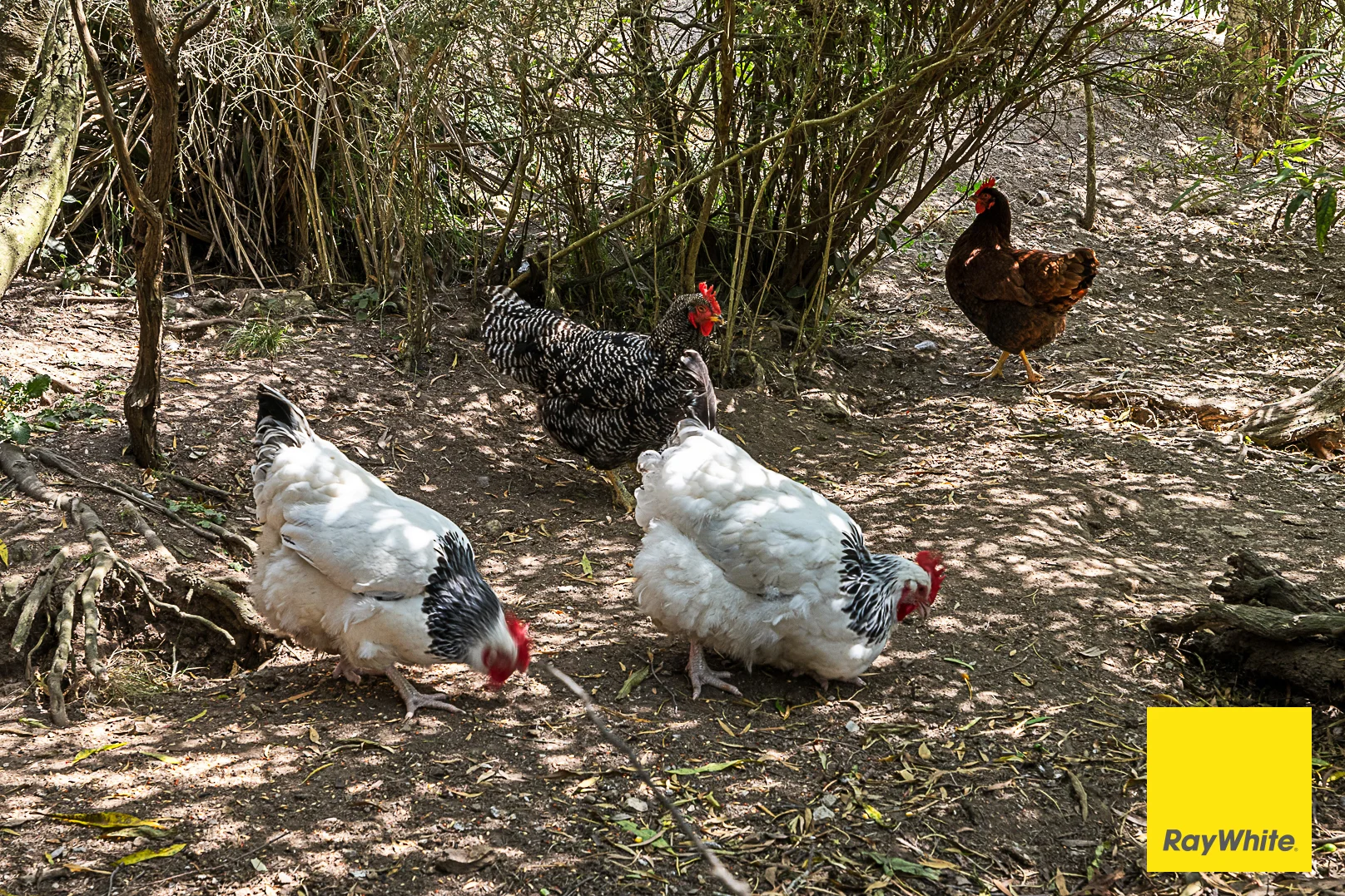 Additional image 24 of 480 Foster Mirboo Road, Foster North VIC 3960