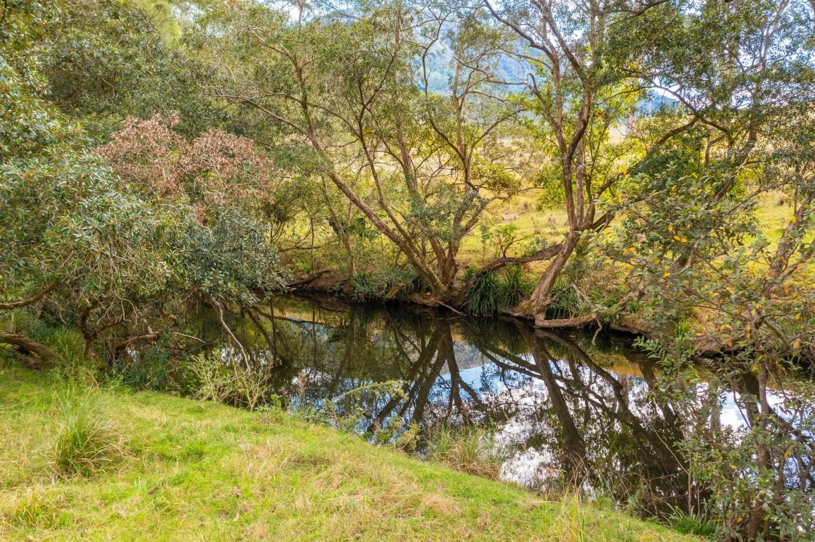 Additional image 13 of Lot 24 209 Tobins River Road, Mount Seaview NSW 2446