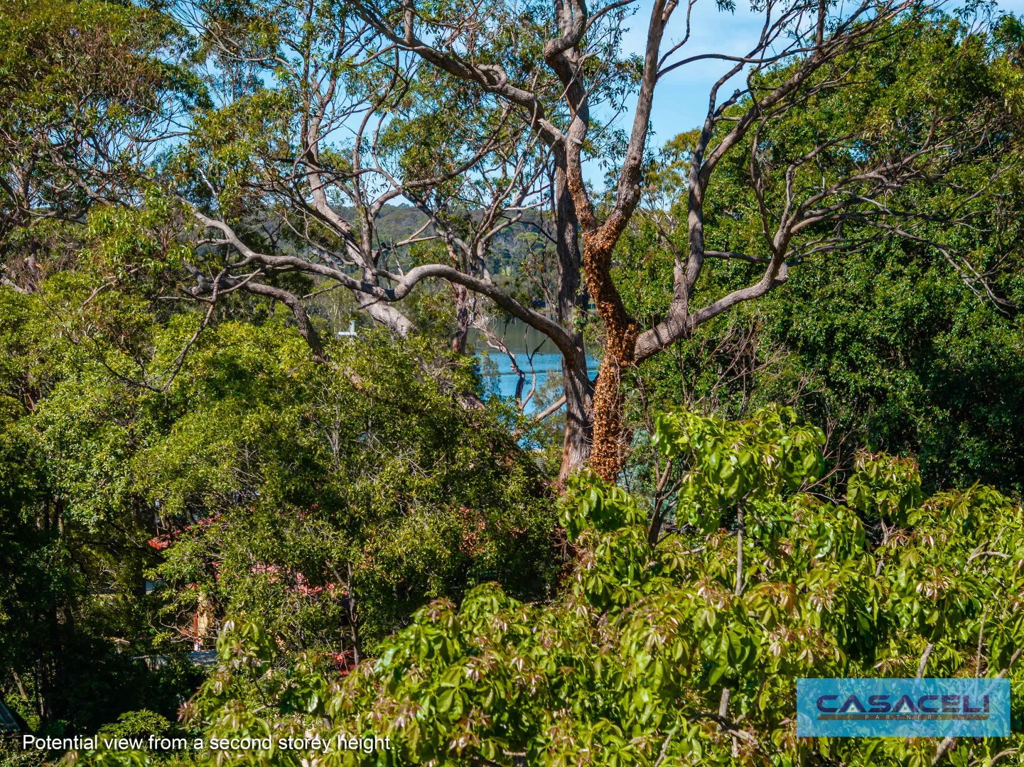Additional image 17 of 33 Beauty Point Road, Wallaga Lake NSW 2546