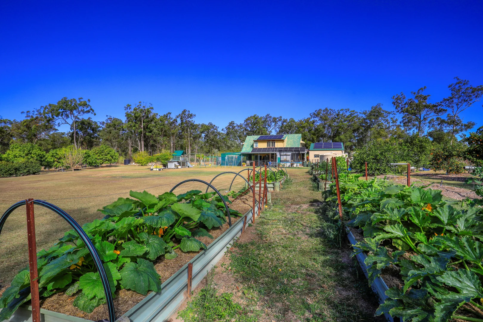 Additional image 18 of 767 Knockroe Road, North Isis QLD 4660