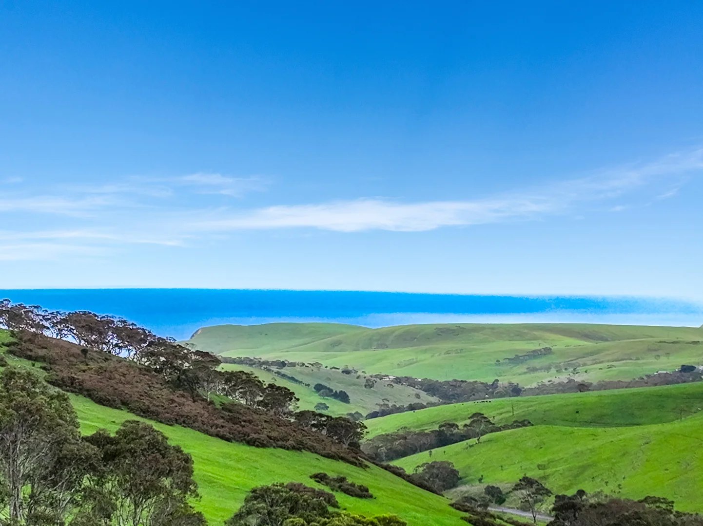 Additional image 39 of 8178 Main South Road, Delamere SA 5204