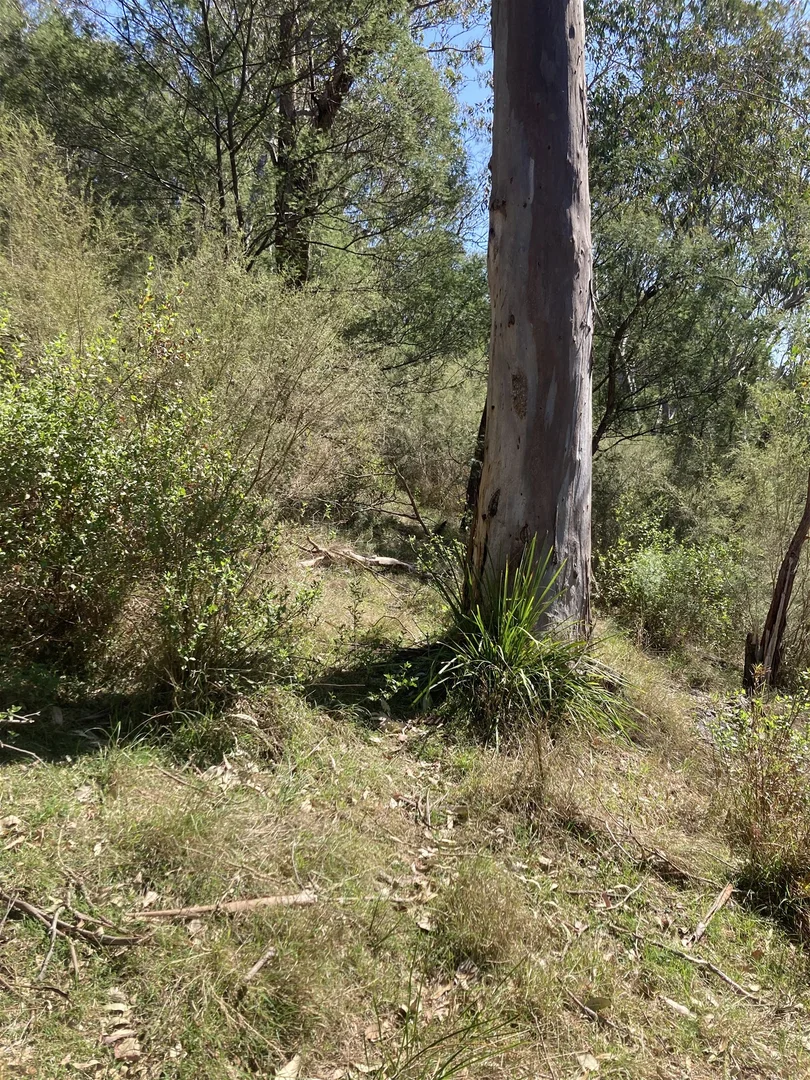 Additional image 21 of 138 Elliot Road, Valencia Creek VIC 3860