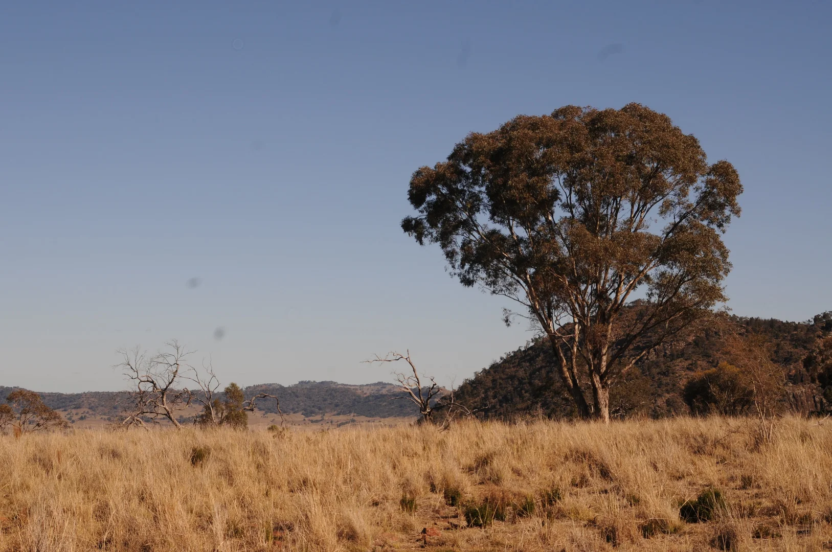 Additional image 92 of 1124 WARKTON ROAD, Coonabarabran NSW 2357