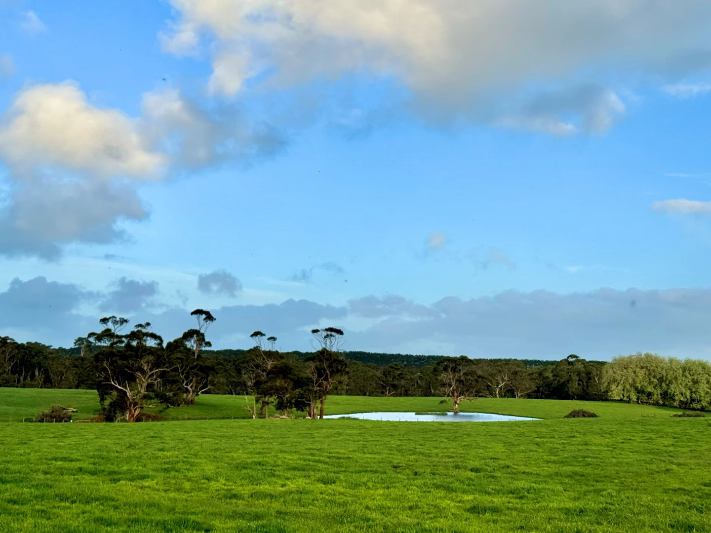 Additional image 26 of 29 Cowens Lane, Nirranda East VIC 3268