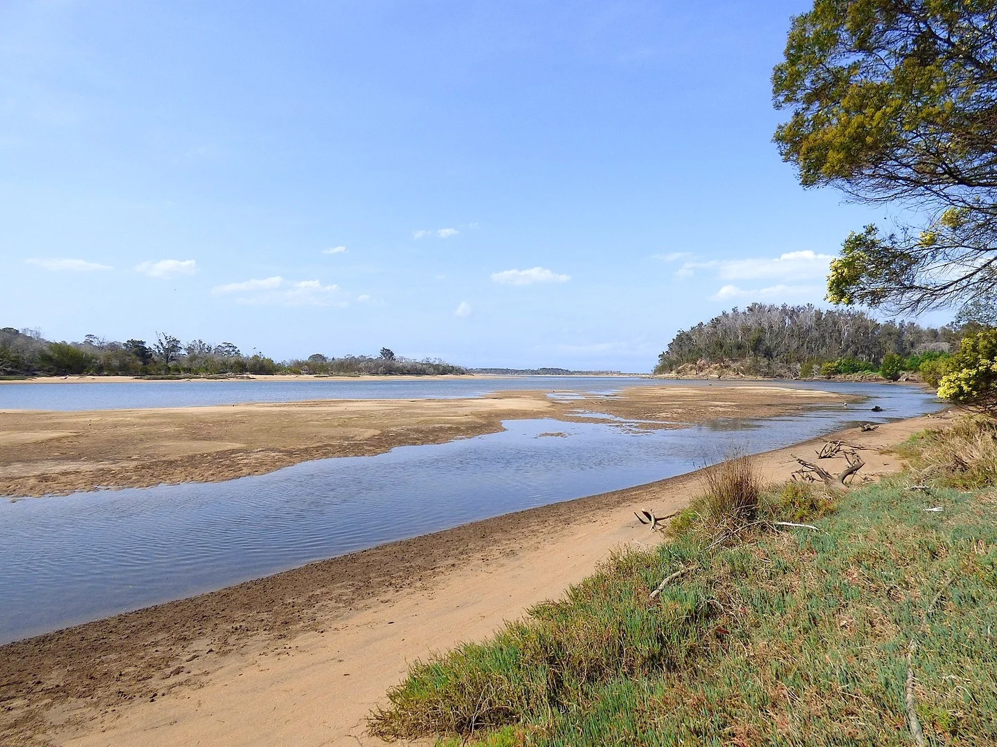 Additional image 8 of Lot/6 ' Pittosporum Pl' , Boyd Rd, KIAH Via, Eden NSW 2551