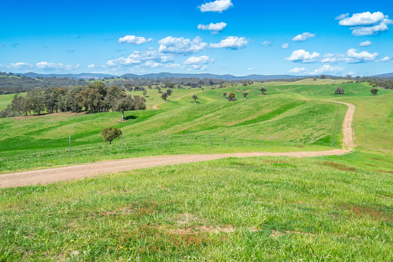 Additional image 21 of 13759 Hume Highway, Mullengandra NSW 2644