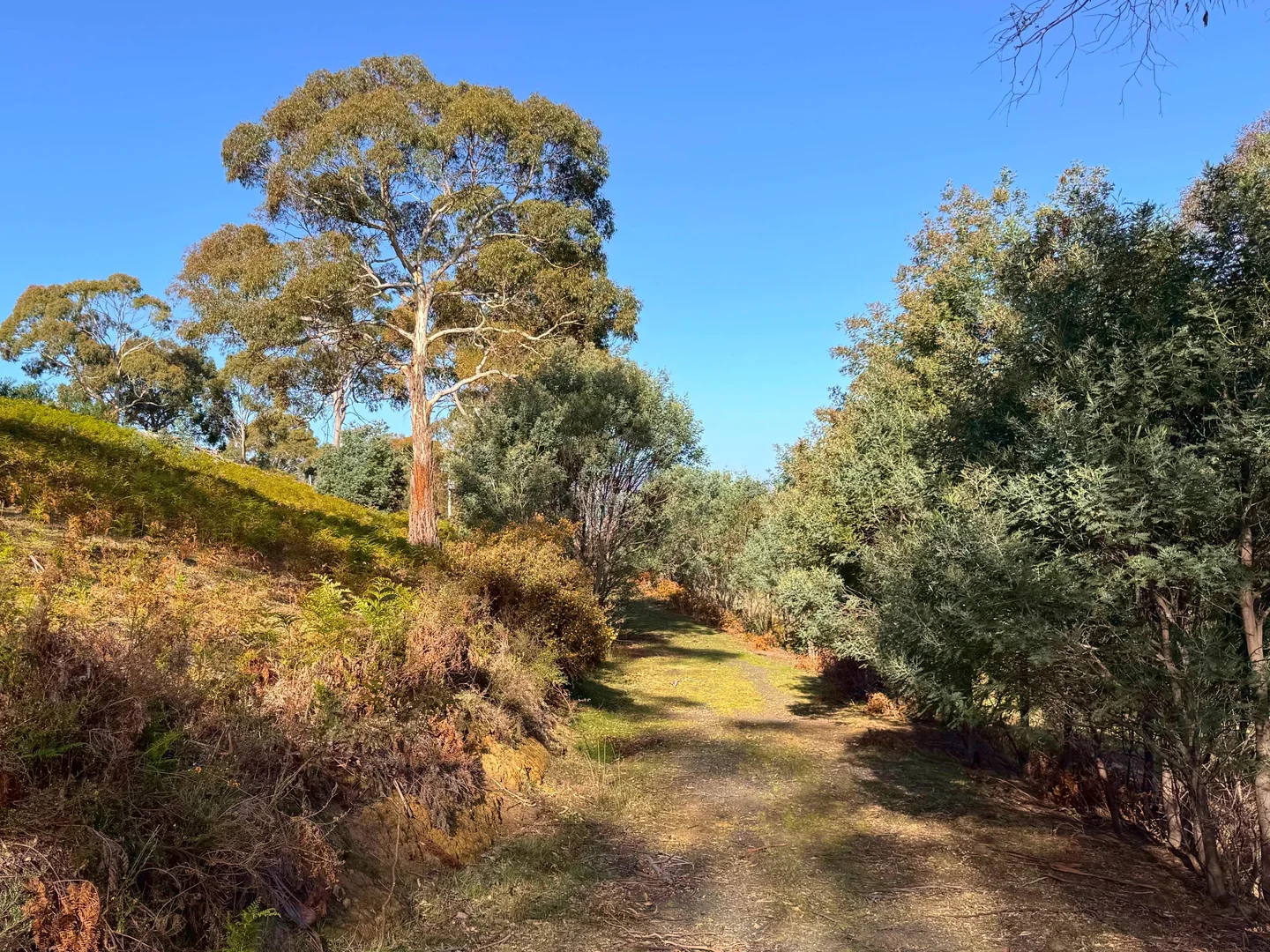 Additional image 15 of 26 Kandara Court, Campania TAS 7026